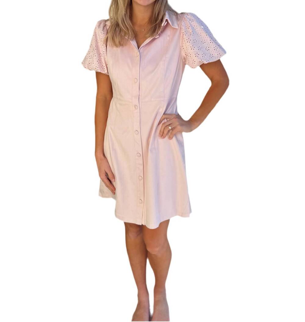 NEW DOLCE CABO faux suede short sleeve dress in shell pink